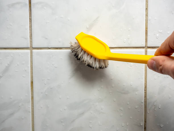 Best Mold Removal and Inspection  in Orange City, IA
