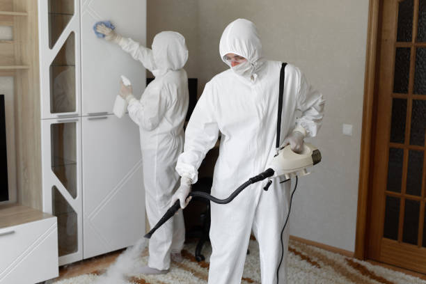 Best Commercial Mold Removal  in Orange City, IA